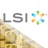 LSI Customer Survey LSI Customer Survey