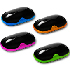 CANYON Bright Colored Mice CANYON Bright Colored Mice